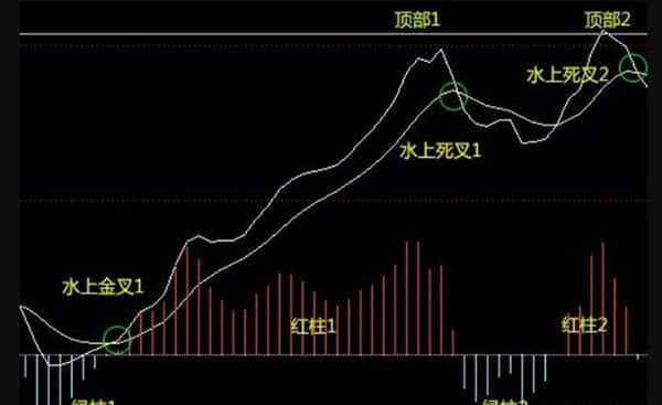 450号文发布！车险迎来监管新规 险企快速响应落实