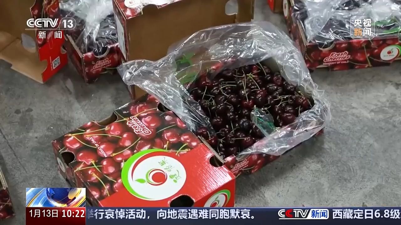 “洋年货”上桌啦！小小车厘子见证中国开放市场大机遇