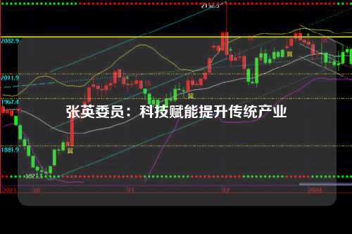 张英委员：科技赋能提升传统产业