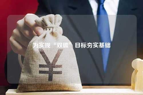 为实现“双碳”目标夯实基础