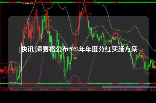 [快讯]深赛格公布2023年年度分红实施方案